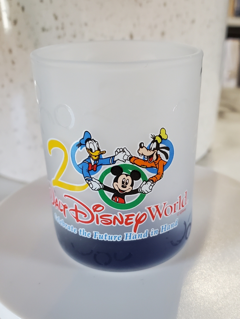 Vintage Disney World 2000 Shot Glass